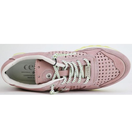 Cetti C848-SRA - Rose - C848SRA$10C