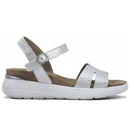 Dorking - Fluchos D8519 - Argent gris - D8519$CLBU.18D0