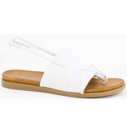 Collections Bulle DIONA18 - Blanc - DIONA18$WHT.14