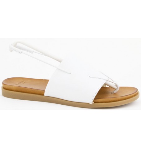 Collections Bulle DIONA18 - Blanc - DIONA18$WHT.14