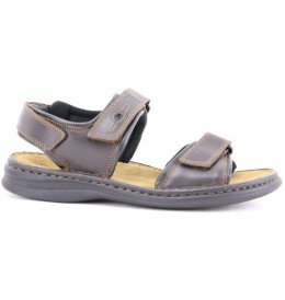 Josef seibel RAFE 10104 - Brun - RAFE03JS