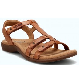 Taos TROPHY2  T02-13765 - Tan - TROPHY2$08TO2