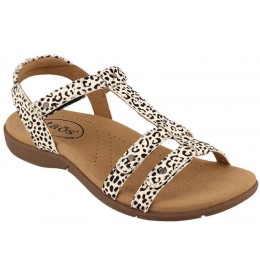 Taos TROPHY2  T02-13765 - Multi - TROPHY2$15TO