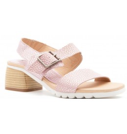 Collections Bulle 148 - Rose - 148Z10AL