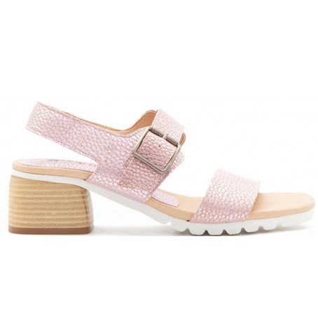 Collections Bulle 148 - Rose - 148Z10AL