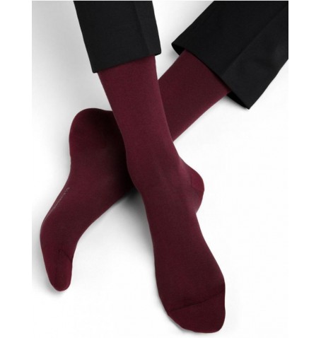 Bleu Forêt CHAUSSETTES COTON D'ÉGYPTE - Bourgogne - 2732$PA7