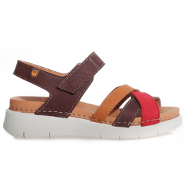 Jungla 8182 - Brun - 8182$03JG