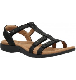 Taos TROPHY2  T02-13765 - Black - TROPHY2$02TO3